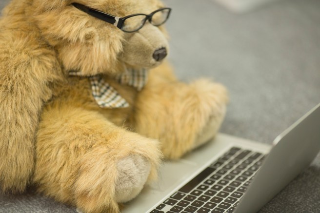 Bear with laptop