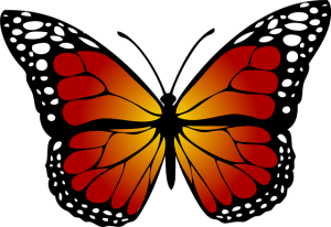 butterfly-1662471_640