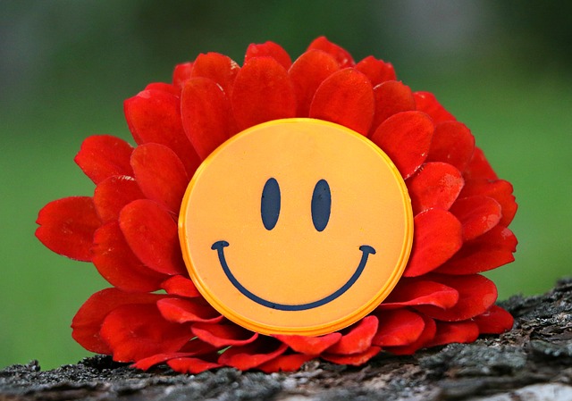 smile-1539196_640